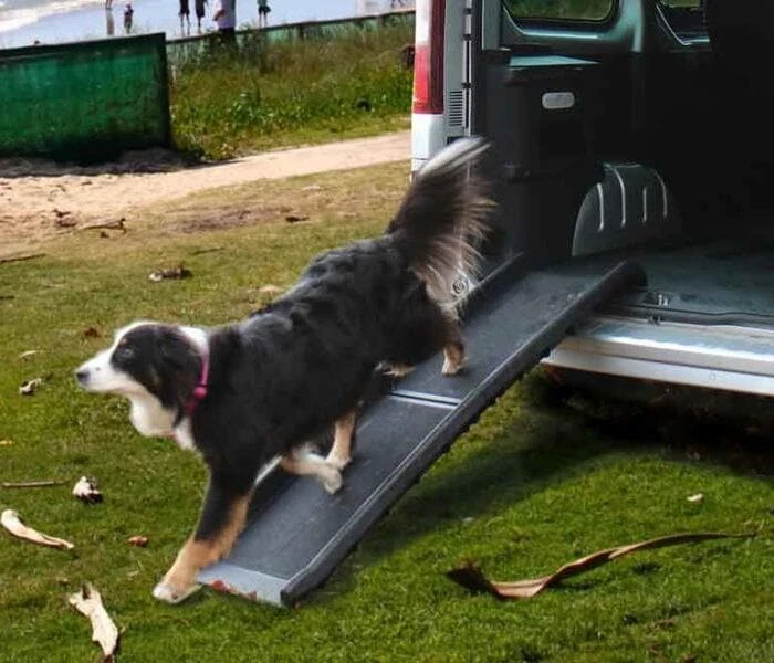 Camp4 Zora Hunderampe – Bild 2