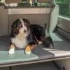 Reimo Dog Pad Hundeauflage Für Kofferraum VW California, Grau